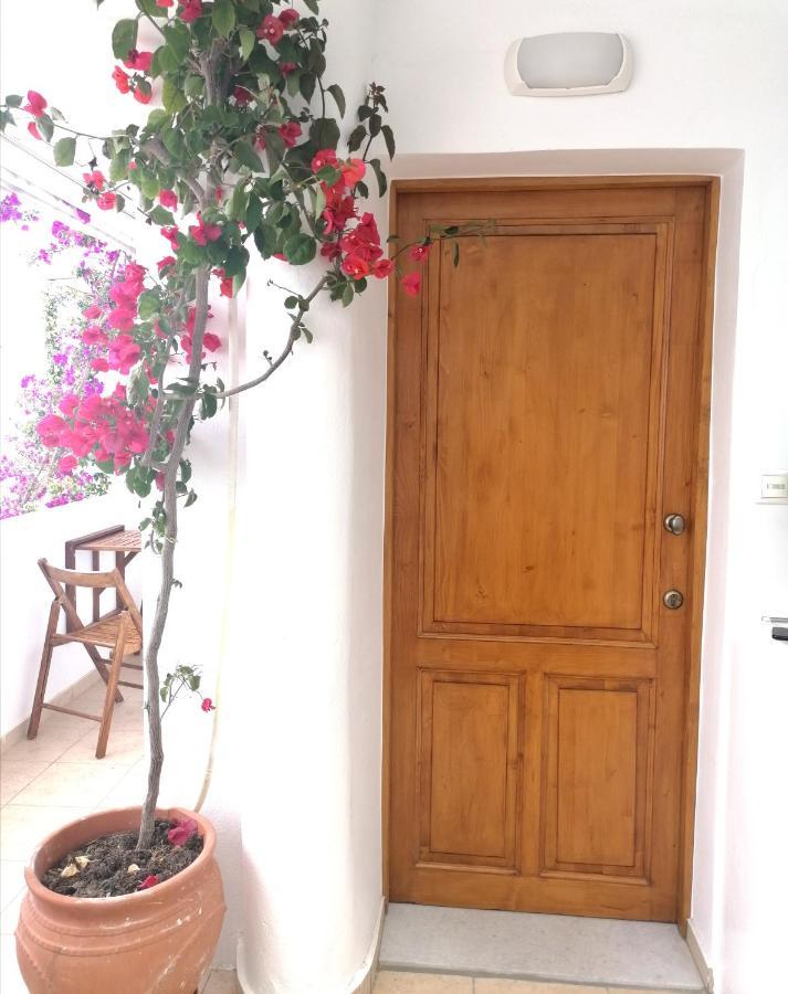 Naxos CityCasa Athena Naxosアパートメント エクステリア 写真